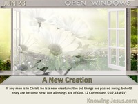 A New Creation